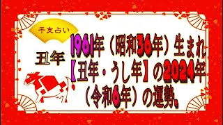 1961年（昭和36年）生まれ【丑年・うし年】の2024年（令和6年）の運勢  干支占い [upl. by Kylah]