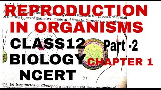 Reproductioninorganisms chapter1CLASS12 NCERT BIOLOGYFORBOARDSNEETANDUPSC UGCBIOLOGY [upl. by Nap903]