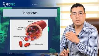 Tema 10 FISIOLOGÍA HEMÁTICA [upl. by Hynda]