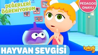 HAYVAN SEVGİSİ  Değerleri Öğreniyorum  Pedagog Onaylı Çizgi Film [upl. by Licko228]