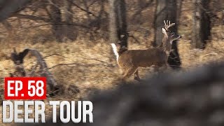 DEER ALMOST RUNS US OVER Wind Bump Success  DEER TOUR E58 [upl. by Mayce]