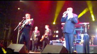 Madness  Clerkenwell Polka Live  Moscow Russia 28042010 [upl. by Wenz698]