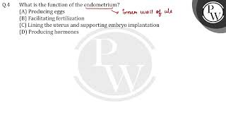 What is the function of the endometrium [upl. by Ylrahc]