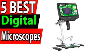 5 Best Digital Microscopes Review 2024 [upl. by Racklin]