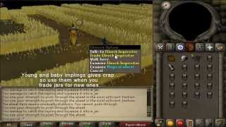 RuneScape 2007 Impetuous Impulses Puro puro Impling minigame [upl. by Slayton975]