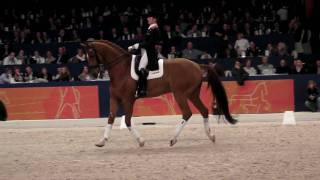 Parzival and Adelinde 2010 Stallion Show Part 1 of 2 [upl. by Matt]