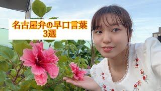 名古屋弁の早口言葉3選 [upl. by Norine]