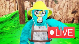 🔴LIVE🔴 Gorilla Tag Playing With Viewers🔴 Tag Minigames and more🔴 [upl. by Scotney630]