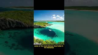 Bahamas Blue Holes Deans Blue Hole shorts [upl. by Yoshiko]