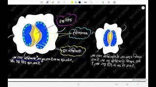 Class 10th Science chapter Life process L 3 [upl. by Gnohc]