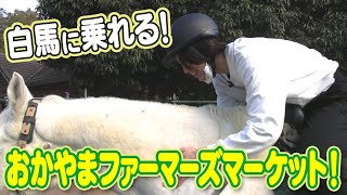 【未公開映像】岡山で白馬に乗る！しりとり2日目に撮影していた映像を大公開！ [upl. by Aselehc]