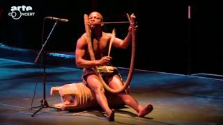 Chants et danses des pygmées Aka du Congo au musée du quai Branly ARTE Concert2 [upl. by Drus]