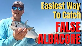 How To Catch FALSE ALBACORE The EASIEST Way LURES BAIT GEAR TROLLING BASICS amp TACTICS [upl. by Nyllewell313]