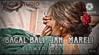 bagal wali jaan mareli bhojpuri song slowed reverb supar hit song viral [upl. by Gittle556]