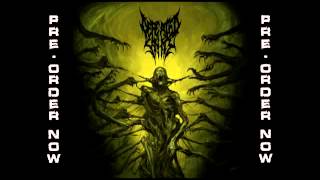 DEFEATED SANITY  Naraka New Track 2013 [upl. by Alihs842]