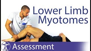 Myotomes Lower Limb  Peripheral Neurological Examination [upl. by Eiramlehcar]