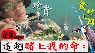 史上最殘忍的釣魚挑戰！只靠幾把釣竿你能生存多久？【台灣大釣哥 求生篇EP0】ft營火部落、加珍珠amp甘那迪 （環島求生釣魚野外挑戰露營入門） [upl. by Olra]