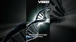 DNA structure DNA science youtubeshorts abubakarmedplus [upl. by Eikcuhc]