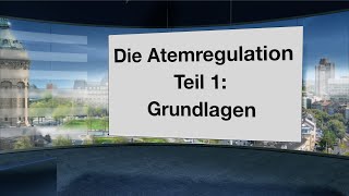 Wie funktioniert die Atemregulation Welche Rolle spielen CO2 O2 Muskeln Gefühle und Gedanken [upl. by Yelrahs]