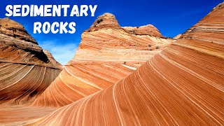 Three types of Sedimentary Rocks [upl. by Kelwen]