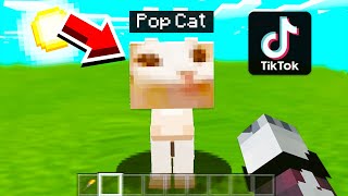 🔥จะเป็นไง ถ้ามีแมว Popcat ในเกม  Minecraft Shorts [upl. by Thorman20]