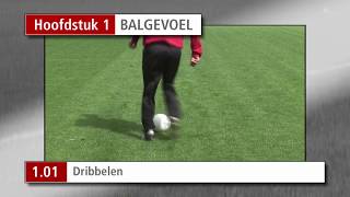 Oefeningen Hoofdstuk 1 Balgevoel [upl. by Korney]