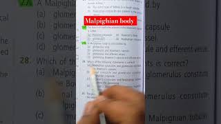 NEET ✅️✅️ malpighian body is constitued by youtubeshort neet biologybook [upl. by Farrica]