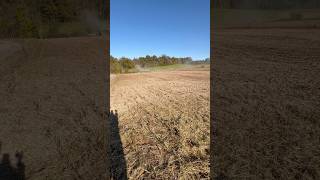 2024 Soybeans Harvest video coming soon [upl. by Nylodnew]