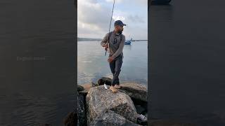 ഇത് കൊറച്ച് നീണ്ട പാരയാ fishing seafishing fisherman fishingmalayalam fish shorts [upl. by Boccaj]