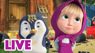 🔴 LIVE STREAM 🎬 Masha and the Bear 🙃 Its sabotage 🌪️🙈 [upl. by Danie]