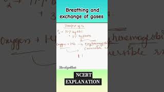 Breathing and exchange of gases ncertneet2025biology howtoprepareforneetug [upl. by Nioe217]