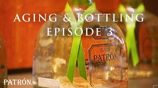 How Patrón Tequila Is Made  Aging amp Bottling  Ep3 [upl. by Adnaral]