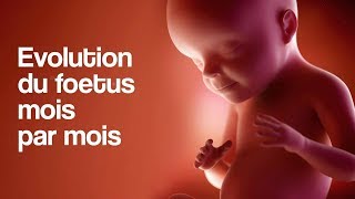 GROSSESSE  L’évolution du foetus mois par mois [upl. by Marijn]