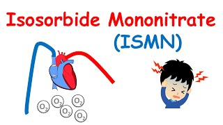 Isosorbide Mononitrate  Mechanism precautions side effects amp uses [upl. by Siramed862]