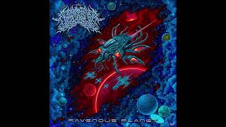 LABYRINTHUS STELLARUM  Ravenous Planet Single  2024 [upl. by Artina632]