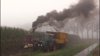 Maïs 2024  Fiat 1000DT op rupsen geeft rooksignalen  Claas Jaguar 690  Ginaf Max A15  Historisch [upl. by Broadbent275]