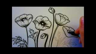 Flower Tutorial  How To Draw Flowers  Poppy Flowers [upl. by Htesil]