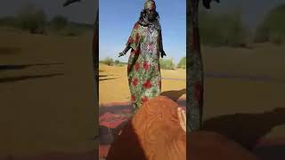 Tuareg Burkina Faso [upl. by Theresita]