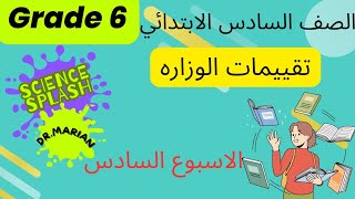 سادسة إبتدائيتقييمات الوزارهالاسبوع السادس [upl. by Rozelle]