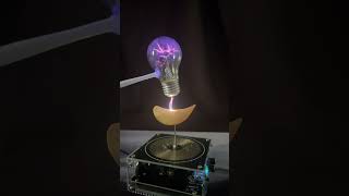 Lays Chips vs Tesla Coil Shockingly Crispy Experiment [upl. by Nosiddam545]