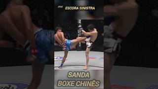 Escora sinistra boxechines sanda muaythai [upl. by Eniak]