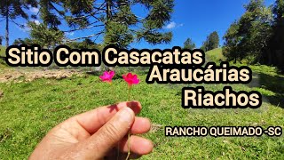 SÍTIO DAS ARAUCÁRIA riachos e CASCATAS NA SERRA EM RANCHO QUEIMADO SC 20000 METROS ÓTIMO PREÇO [upl. by Aiekat]