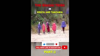 Masai Harmony with Wildlife Coexistence and Challenges youtubeshorts [upl. by Htebazila]