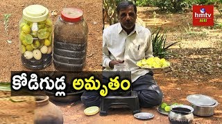 Kodigudla Amrutham Egg Amino Acid Preparation  Natural Farming  hmtv Agri [upl. by Essex]