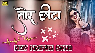 तोर Chita New Nagpuri dj song 2024 Nagpuri dj song 2024 Tor Chita Nagpuri Hard tabahi remix❕ [upl. by Cyrill874]