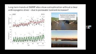 Evaluating spatial patterns in salt marsh biogeochemistry [upl. by Larkin]