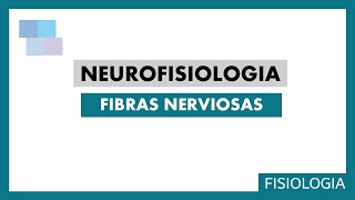 NEUROFISIOLOGÍA  Fibras nerviosas [upl. by Amesari]