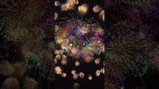 THE BIGGEST FIREWORK EVER  shorts [upl. by Blodgett]