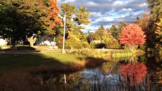 Shop Pond Hampstead NH [upl. by Eras448]