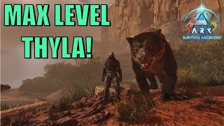 Max Level Thylacoleo  ASA S2E4 [upl. by Reinhold]